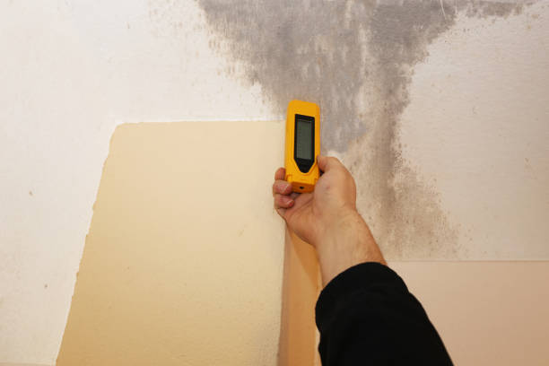 Best Commercial Mold Inspection  in Grove City, FL