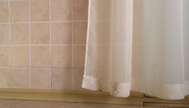 Best Indoor Air Quality Assessment  in Grove City, FL