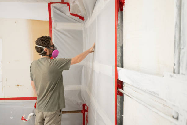 Best Asbestos and Lead Testing During Mold Inspection  in Grove City, FL