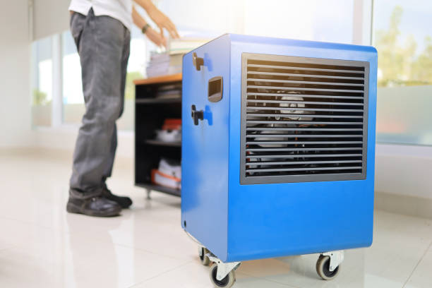 Best Air Quality Testing for Mold Spores  in Grove City, FL
