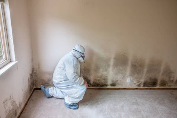Best Forensic Mold Investigation  in Grove City, FL