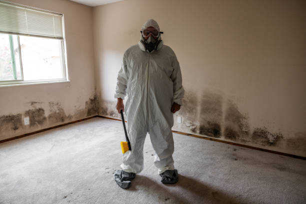  Grove City, FL Mold Removal Pros